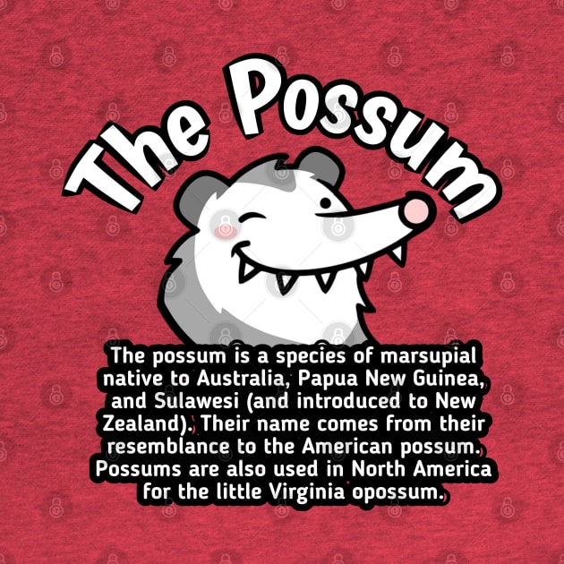 The Possum by radeckari25